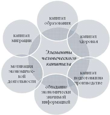 Инвестиции В Человеческий Капитал Курсовая Работа